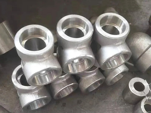 Stainless Steel Forgings 